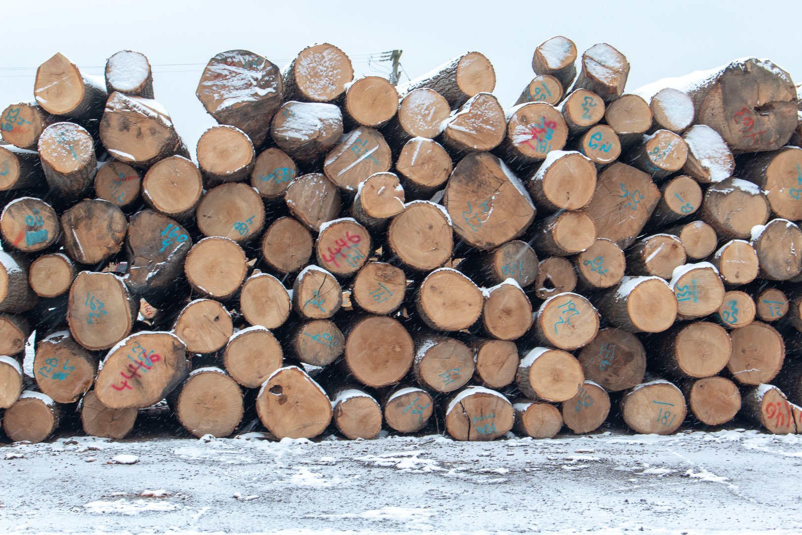Lumber Buyers Near Me | Contact Michigan's Own Post Hardwoods
