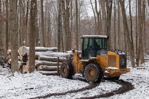 The harvesting process requires at least 10 acres of woodlot.